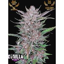 Fastbuds Gorilla Punch Auto 5 db
