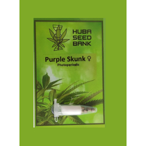 Huba Seed Bank Purple Skunk 5 db