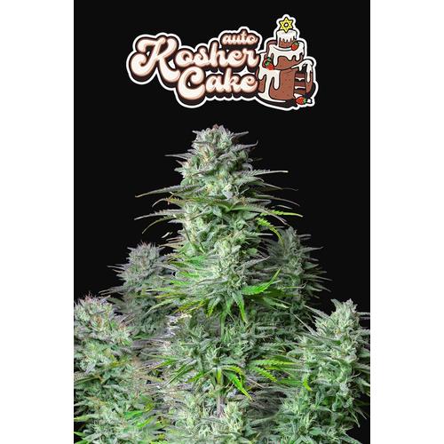 FastBuds Kosher Cake Auto 3 db